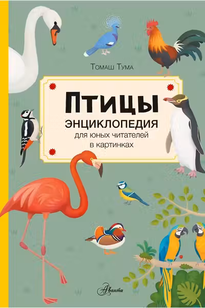 Птицы