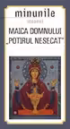 Minunile Icoanei. Maica Domnului. Potirul Nesecat
