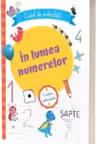 In lumea numerelor. Caiet de activitati