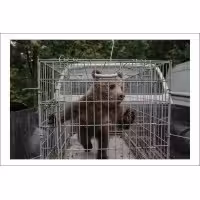 Postcard Ioana Moldovan 11