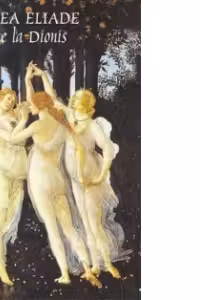 In curte la Dionis