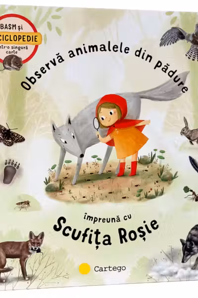 Observa animalele din padure impreuna cu Scufita Rosie