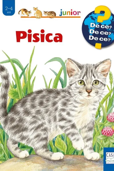 Pisica