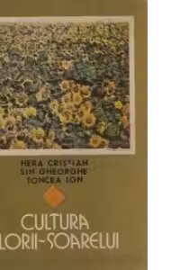 Cultura florii-soarelui
