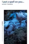 I PUT A SPELL ON YOU. Allex Trusca