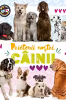 Prietenii nostri cainii 3D