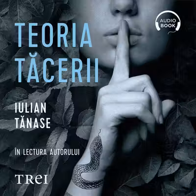 Teoria tăcerii (audiobook)