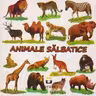 Animale salbatice