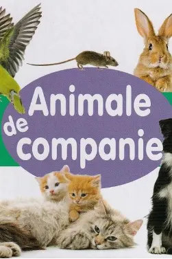 Animale de companie - CARTONATA
