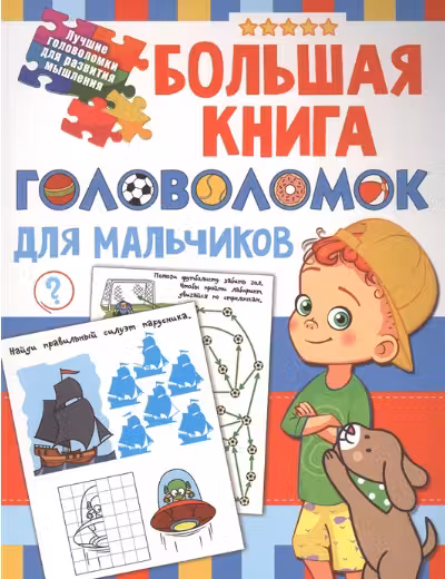 Большая книга головоломок для мальчиков