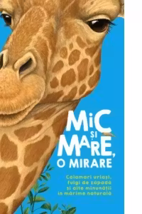 Mic si mare, o mirare
