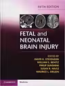 Fetal and Neonatal Brain Injury - David K. Stevenson, William E. Benitz, Philip Sunshine, Susan R. Hintz, Maurice L. Druzin