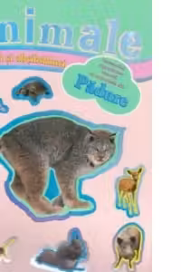 Jocuri si abtibilduri cu animale - Testeaza-ti capacitatea vizuala cu animalele din padure