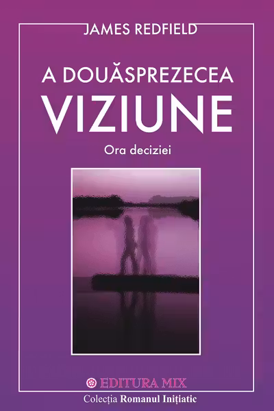A 12 viziune