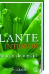 Plante de interior - Plante usor de ingrijit
