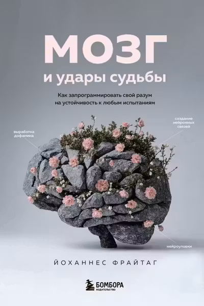 Мозг и удары судьбы. Как запрограммировать свой разум на устойчивость к любым испытаниям