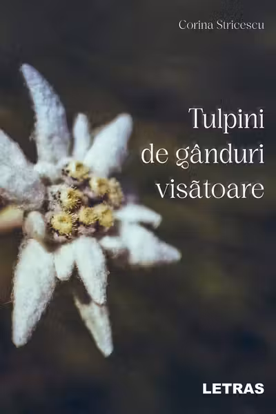 Tulpini de ganduri visatoare