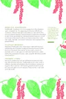 The Herbal Sutra