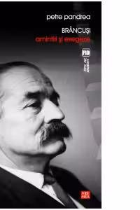 Brancusi. Amintiri si exegeze