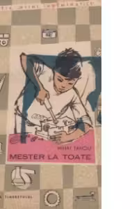 Mester la toate