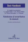 Sanatatea si securitatea in munca. Abordare multidisciplinara - Razvan Anghel, Georgiana Anghel-Tudor
