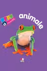 Bebe invata. Animalele