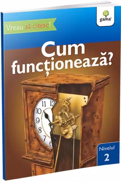 Cum functioneaza?