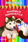 Colorez. Animale domestice.