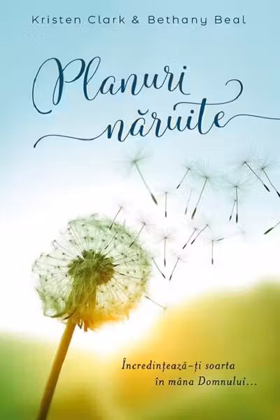 Planuri năruite. Încredințează-ți soarta în mâna Domnului