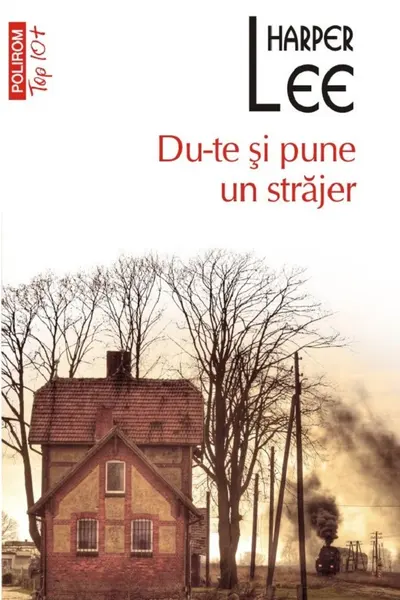 Du-te si pune un strajer
