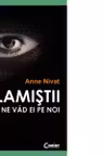 Islamistii. Cum ne vad ei pe noi