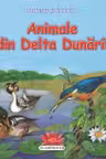 Animale din delta Dunarii. Flamingo