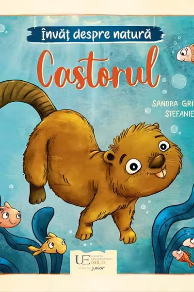 Invat despre natura - Castorul