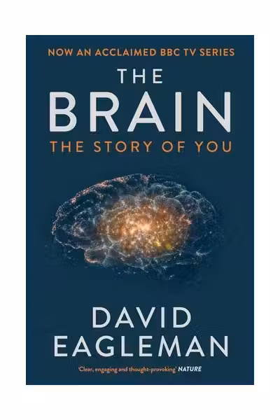 The Brain - The Story of You