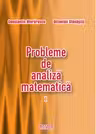 Probleme de analiza matematica I