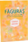 Faguras. Limba romana cl.4 (sc. cu l. rusa) Caiet elevului. Cartier
