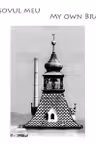 Brasovul meu