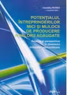 Potentialul intreprinderilor mici si mijlocii de producere a valorii adaugate. Analize si perspective in domeniul industriei prelucratoare