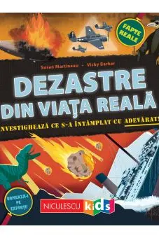 Dezastre din viata reala