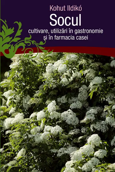 Socul: Cultivare, utilizari in gastronomie si in farmacia casei