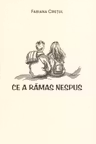 Ce a ramas nespus