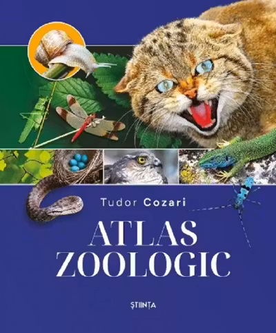 Atlas zoologic Ed.2