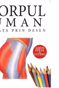 Corpul uman. Invata prin desen