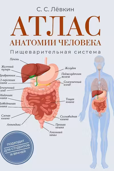 Атлас анатомии человека. Пищеварительная система