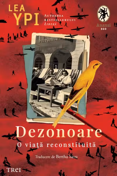Dezonoare