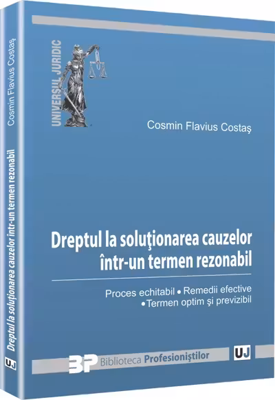Dreptul La Soluționarea Cauzelor Într-Un Termen Rezonabil