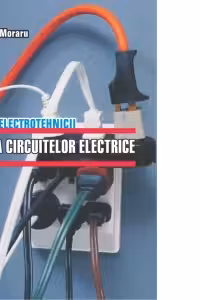 Bazele electrotehnicii. Teoria circuitelor electrice (CD)