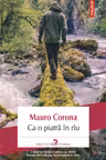 Ca o piatra in riu