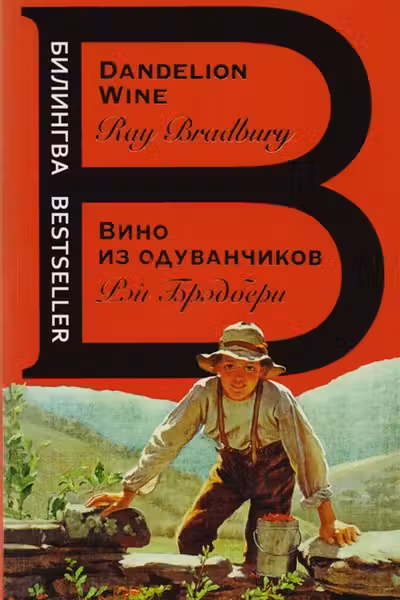 Вино из одуванчика. (на англ.яз.)