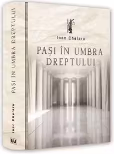 Pasi in umbra dreptului